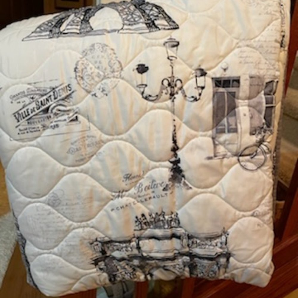 Paris Theme Quilt king or Queen - Picture 2 of 7